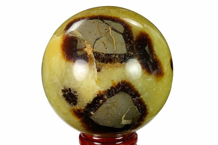 Polished Septarian Sphere - Madagascar #154132